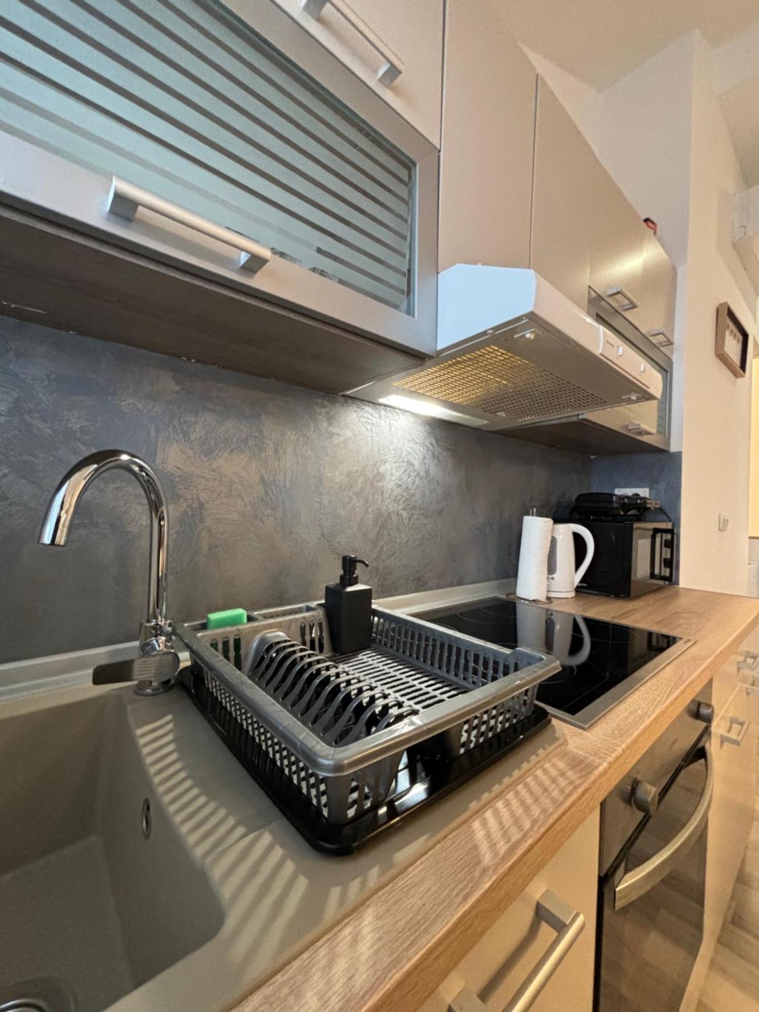 Albert Apartments Zagreb Airport Велика-Горица Экстерьер фото